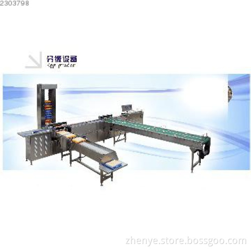 one row electronical egg grading machine